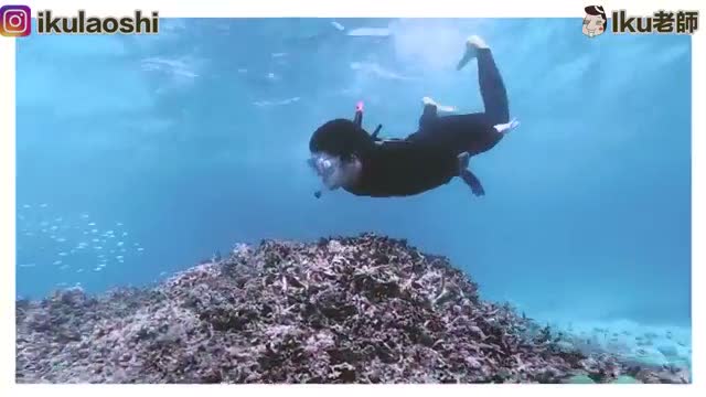 沖縄 観光プロモーション