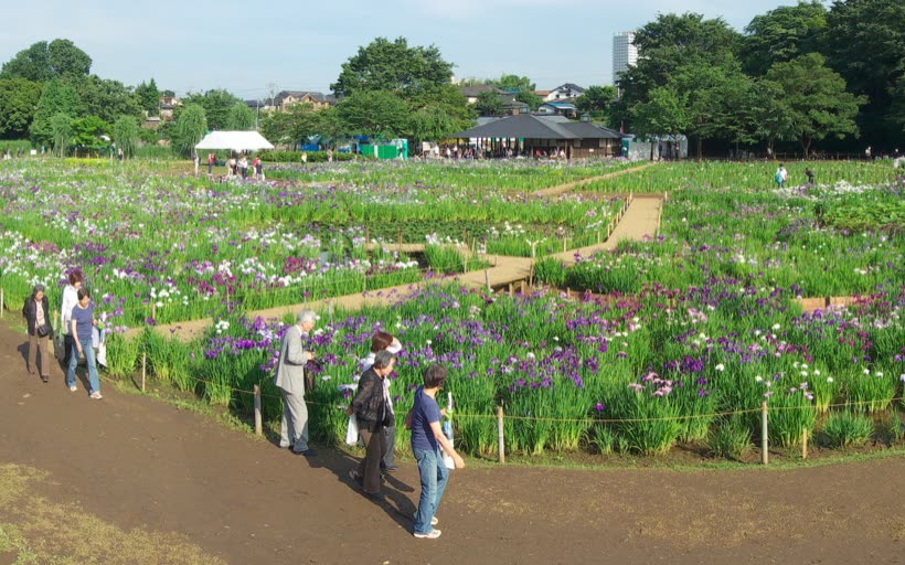 東京・東村山 観光サイト運営